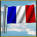 Frankrijk vlag.