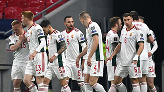 De Hongaarse spelers na een van hun doelpunten