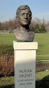 De buste van Novák. 
