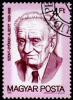 Hongaarse postzegel van Albert von Szent-Györgyi