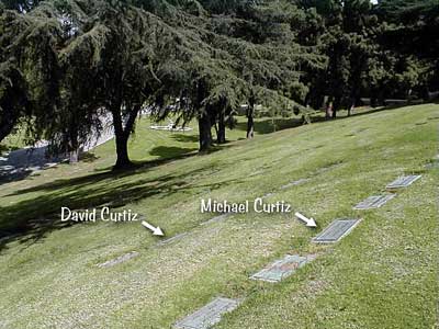 Het graf met de grafsteen van Michael Curtiz, op het Forest Lawn Memorial Park Cemetery (Glendale), Los Angeles. 