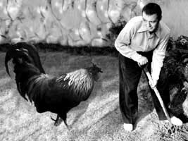 n zijn vrije tijd had Peter Lorre een prijswinnende hobby: de landbouw.